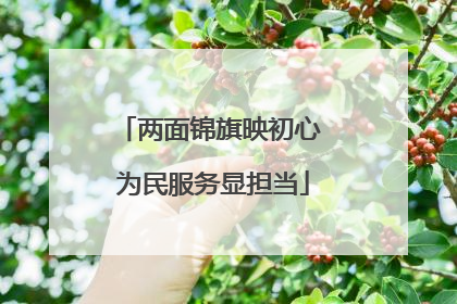 两面锦旗映初心 为民服务显担当